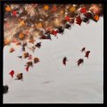 70 - Série Le temps des coquelicots ● - acrylique sur panneau; 18 x 18 po (46 x 46 cm) 